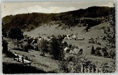 79837 W7821 Menzenschwand Foto AK