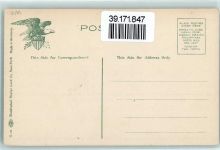 Pineapples Grove in Florida Landwirtschaft