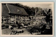 38855 O3700 Wernigerode - Kurgarten u. Kursaal Storchmühle Liegewiese Palme