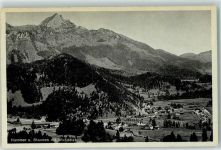 83730 W8165 Hammer b Fischbachau - Stauden Wendelstein