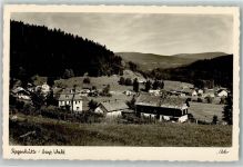 94252 W8371 Regenhütte b Bayerisch Eisenstein