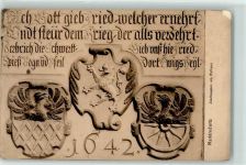 95615 W8590 Marktredwitz 1917 Gebrauchsspuren Stadtwappen am Rathaus