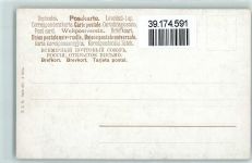 Früchte Äpfel Pflaumen TSN Serie 377 AK Billing, M. 1905
