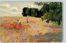 Mohnblumenfeld AK Degi 1906 Künstlerkarte