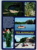 77889 W7596 Mummelsee Gebrauchsspuren Neptun Tretboot Auto