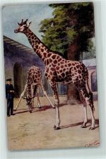 Giraffe im Zoo AK Exotisches Tier Künstlerkarte