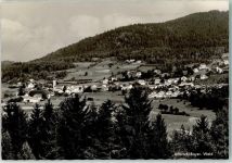 94255 W8371 Böbrach , Arberregion Foto AK