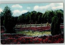 Lüneburger Heide Bienenzaun Bienenkörbe AK Biene 1916