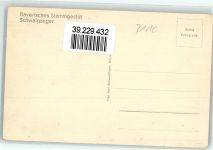 82441 W8115 Schwaiganger , Staffelsee - Bayerisches Stammgestüt Pferde