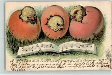 Eier Noten Huhn 1905