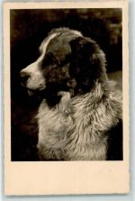Landseer 24944 Großer Hund