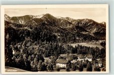 83730 W8165 Birkenstein - Aufforstung