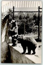 W7500 Karlsruhe , Baden Bären Tierpark Bär