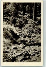 99891 O5808 Tabarz , Thüringerw - Lauchagrund Waldbach