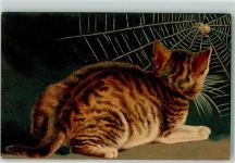 Wenau Pastell Nr. 606 Katze staunt AK Spinne Künstlerkarte