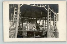 Privatfoto AK Hühner Huhn Gebrauchsspuren