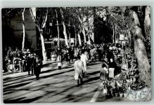 Barcelona - Rambla de las Flores Straßenbahn