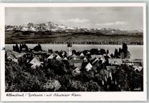 78476 W7753 Allensbach - Bodensee Schweizer Alpenpanorama