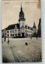 18273 O2600 Güstrow 1916 - Borvinbrunnen Postamt Hund