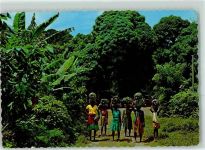 The Tropical Caribbean Banane Foto AK