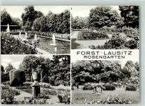 03149 O7570 Forst Lausitz - Rosengarten
