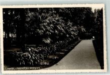 Liegnitz Legnica - Palmen im Stadtpark