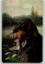 Ente WB SS Nr.6916-3 Jagdhund