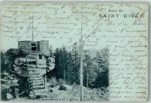 88100 Saint-Die-des-Vosges 1899 - Sapin Sec