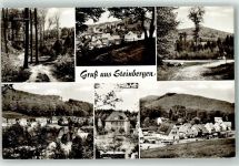 31737 W3262 Steinbergen , Wesergeb Foto AK