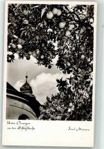 78462 W7750 Insel Mainau Foto AK Schloßkirche Orangenblüte