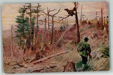 Jäger Auerhahn Jagd 1917 Künstlerkarte