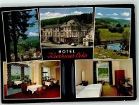 61389 W6384 Schmitten , Taunus - Hotel Kurhaus Ochs Oldtimer Schwimmbad