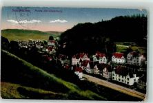 66111 W6600 Saarbrücken 1917 Gebrauchsspuren am Winterberg