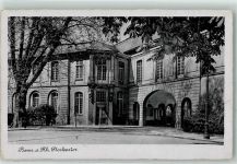 53111 W5300 Bonn - Stockentor