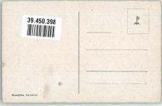 53111 W5300 Bonn - Stockentor
