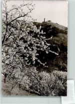 69469 W6940 Weinheim , Bergstr Andruck Burg Wachenburg