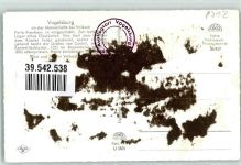97332 W8712 Volkach Gebrauchsspuren Vogelsburg