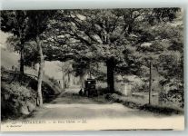 88370 Plombieres-les-Bains - le Gros Chene Oldtimer