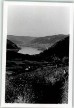 3620 Spitz FOTO KEINE AK Ort handschriftlich