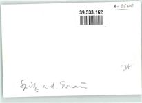 3620 Spitz FOTO KEINE AK Ort handschriftlich