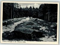 27793 W2878 Wildeshausen - Visbeker Bräutigam in der Ahlhorner Heide