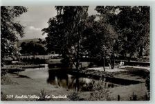 37194 W3417 Amelith - Am Inselteich