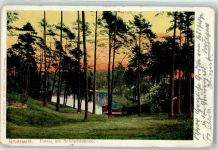 10115 W1000 Steglitz 1908 Künstlerkarte Grunewald amSchlachtensee