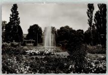 66482 W6660 Zweibrücken , Pfalz Foto AK Teich im Rosengarten mit Wasserfontaine