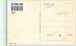 76593 W7562 Gernsbach Gebrauchsspuren Schloss Eberstein Rosengarten