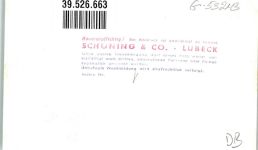 Löwenberg Lwówek FOTO KEINE AK Rathaus Markthallen