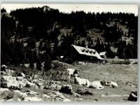 3345 Göstling an der Ybbs - Hochkarhaus Kühe