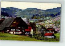 77793 W7625 Gutach Schwarzwaldbahn - Schwarzwaldhäuser im Frühling zwischen blühenden Obstbäumen