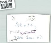 35423 W6302 Lich , Hess Privatfoto KEINE AK Schule Ort handschriftlich