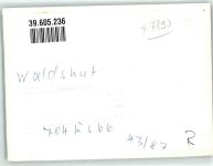 79761 W7890 Waldshut - Bootsteg Rhein Foto Original aus Archiv eines Ansichtskartenverlags